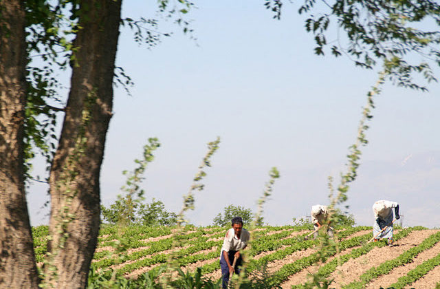 Best Practices: Comparing National Contact Points