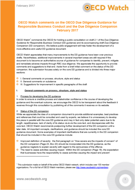 publication cover - OECD Watch comments on the OECD Due Diligence Guidance for Responsible Business Conduct and Due Dilligence Companion