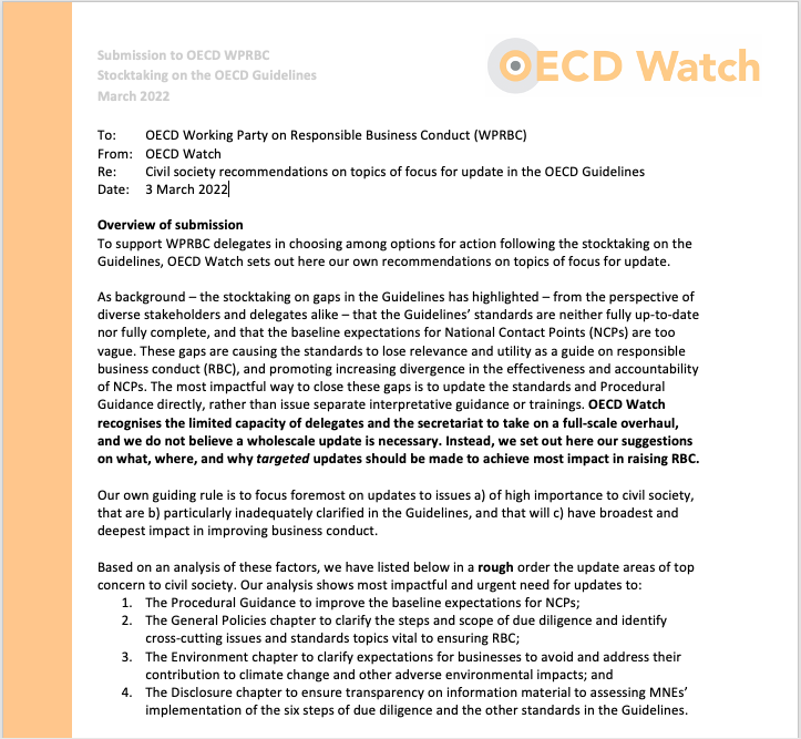 publication cover - OECD Watch briefs on topics for update in the OECD Guidelines