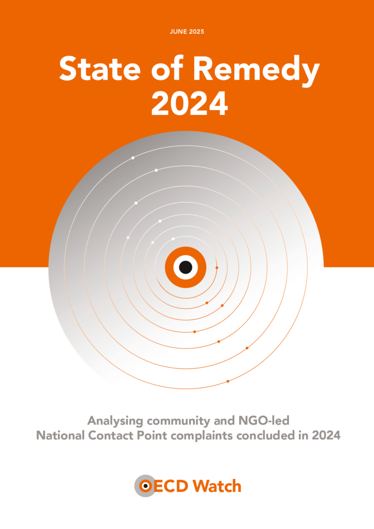 publication cover - State of Remedy 2024