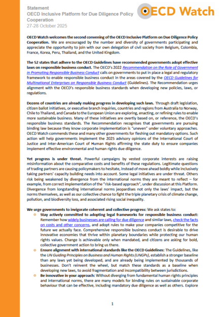 publication cover - OECD Watch statement on promoting binding corporate accountability law