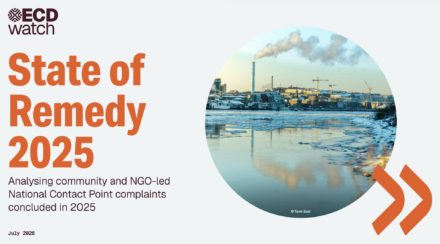 publication cover - State of Remedy 2025